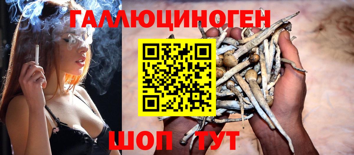 как найти наркотики  Псилоцибиновые грибы MAGIC MUSHROOMS  Нефтекумск  Вход с VPN  Галлюциногенные грибы Magic Shrooms 