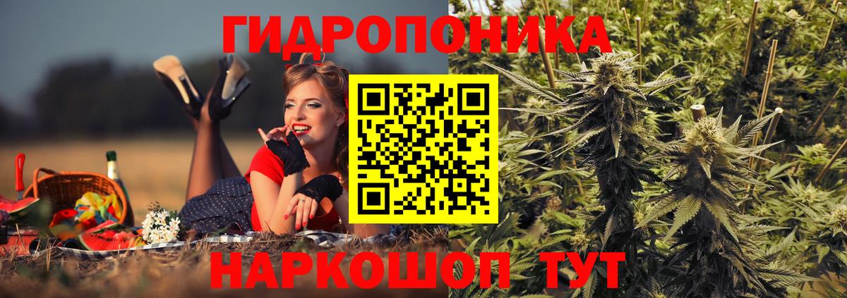 Бошки марихуана план Нефтекумск